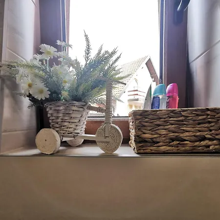 Appartement Snowflake